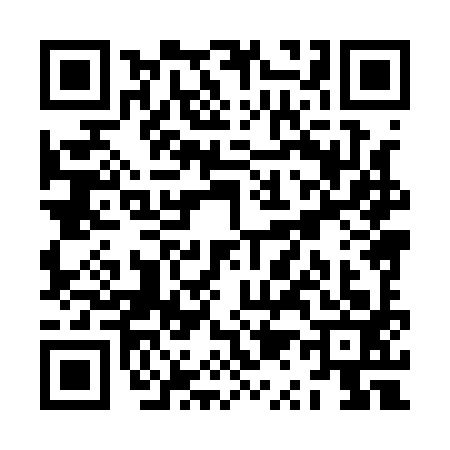 QR code for ZQ81935