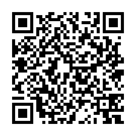 QR code for ZR11387