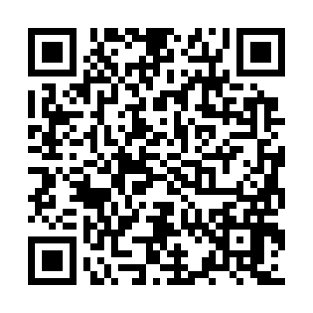 QR code for ZR33969