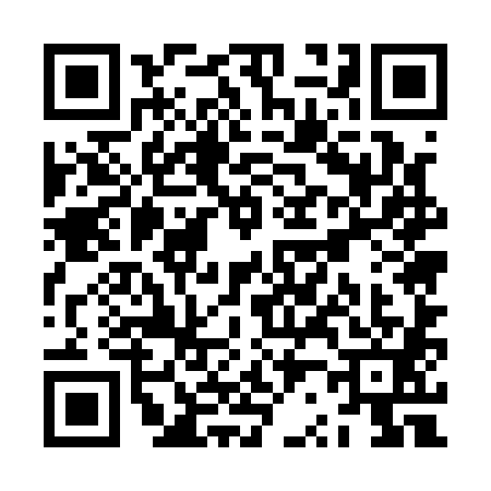 QR code for ZR51817