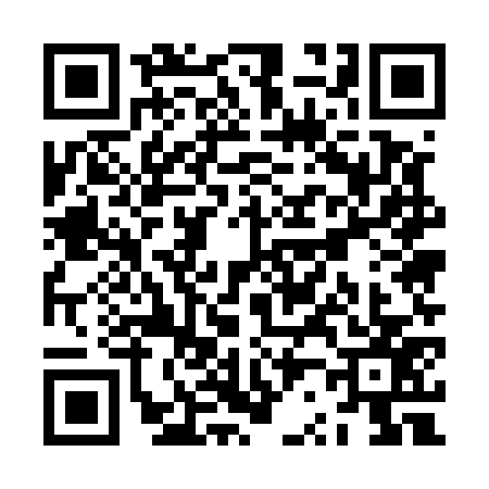 QR code for ZR55777