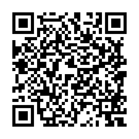 QR code for ZR88896