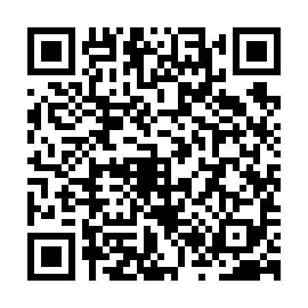 QR code for ZR96996