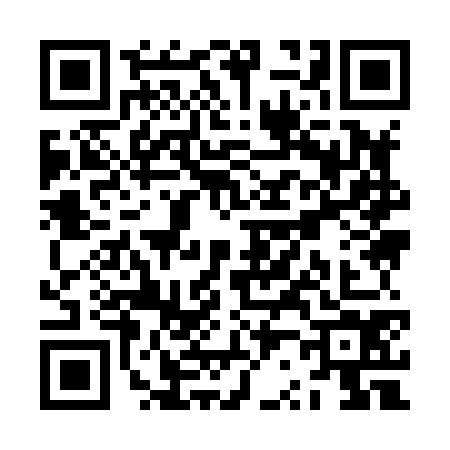 QR code for ZR98747
