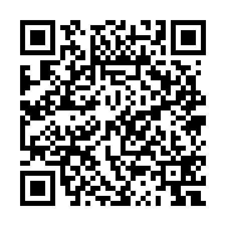 QR code for ZS17196