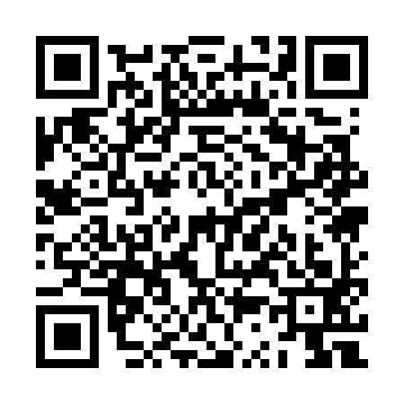 QR code for ZS17938