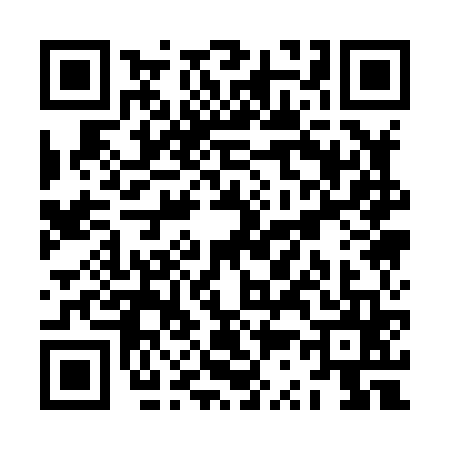 QR code for ZS18656