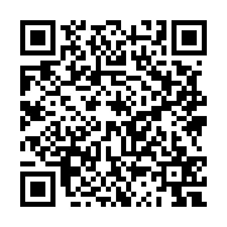 QR code for ZS95373