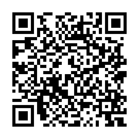 QR code for ZS95454