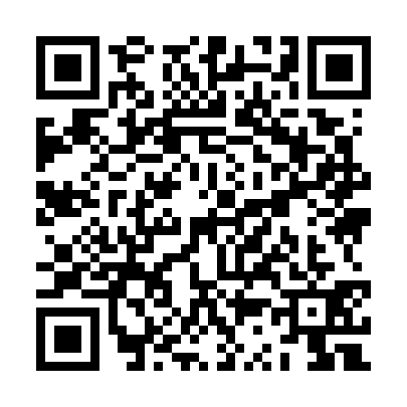 QR code for ZS97313