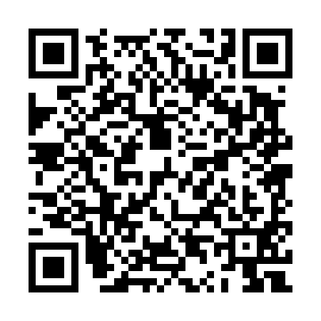 QR code for ZT04917