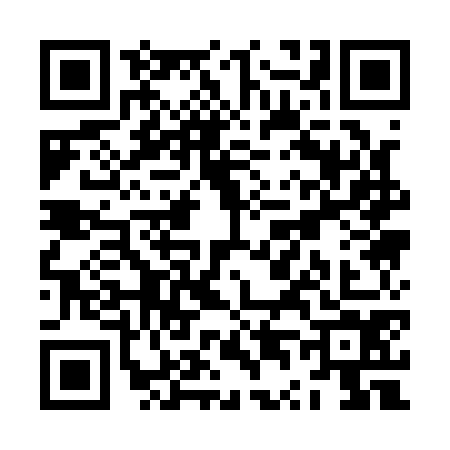 QR code for ZT11746