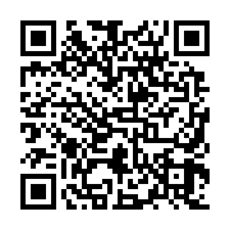 QR code for ZT13491