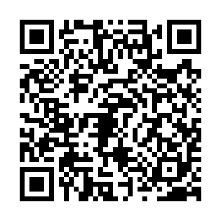 QR code for ZT17905