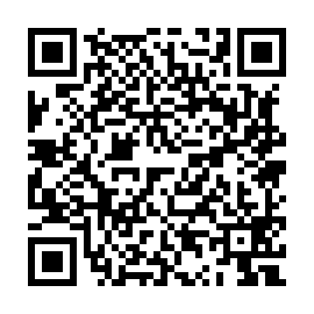 QR code for ZT18995