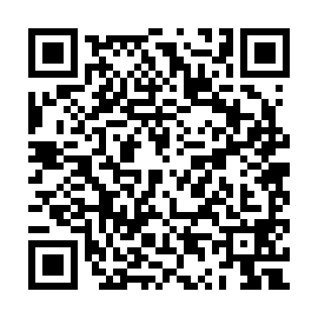 QR code for ZT22980