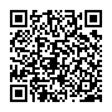 QR code for ZT36236