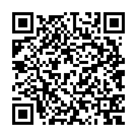 QR code for ZT46313