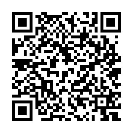 QR code for ZT53217