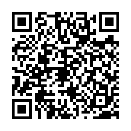 QR code for ZT66125