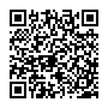 QR code for ZT82479