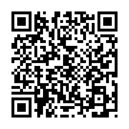 QR code for ZT88387