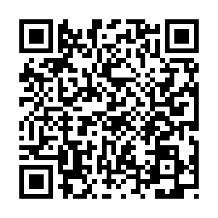 QR code for ZT89384