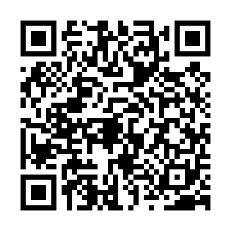 QR code for ZT94513