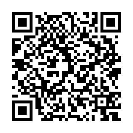 QR code for ZT96333