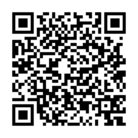 QR code for ZU31341