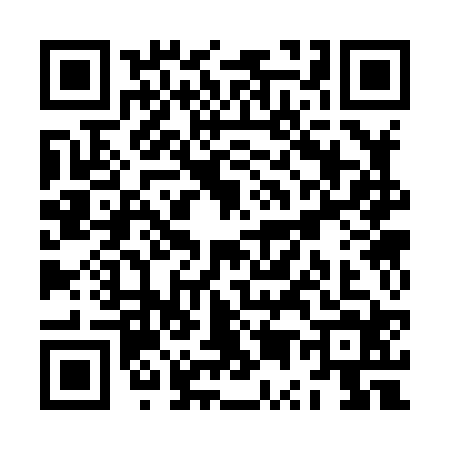 QR code for ZU38242