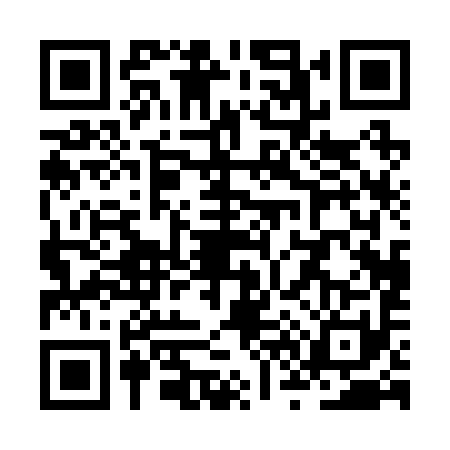 QR code for ZV02913