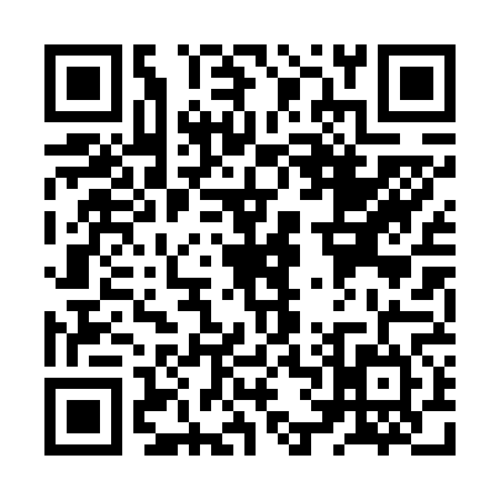 QR code for ZV06647