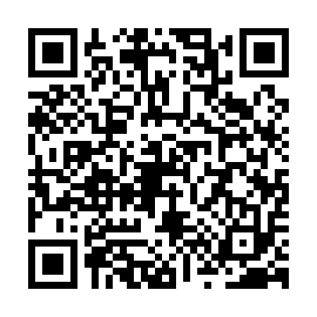QR code for ZV11134