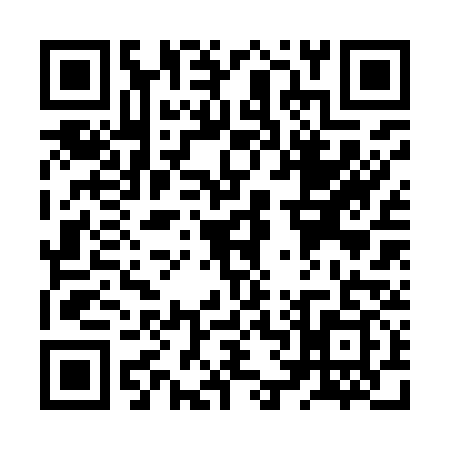 QR code for ZV29395