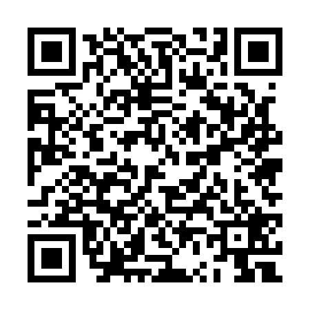 QR code for ZV51296