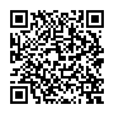 QR code for ZV96272