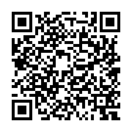 QR code for ZW09537
