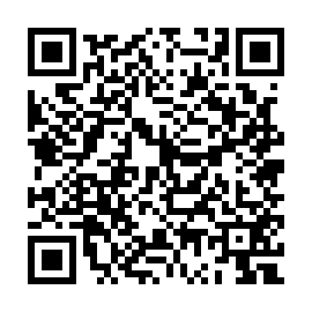 QR code for ZW51523