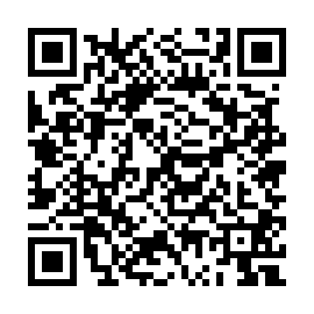QR code for ZW55008