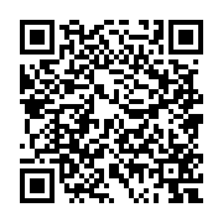 QR code for ZW85579