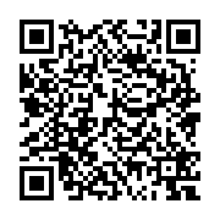 QR code for ZW86294
