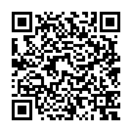 QR code for ZX04394