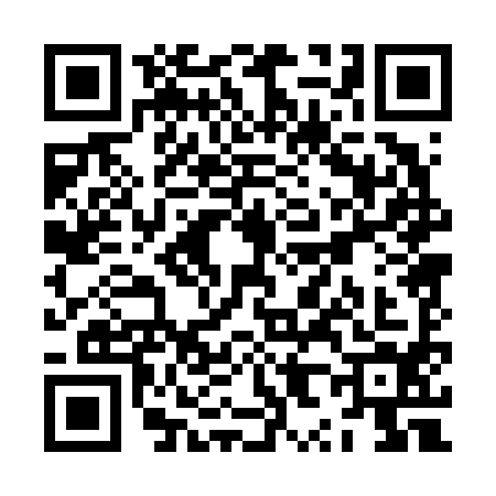 QR code for ZX06946
