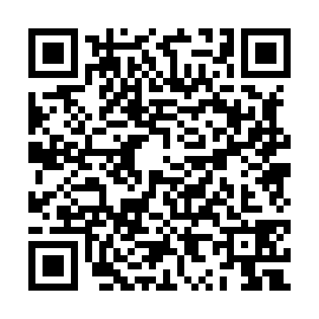 QR code for ZX08384