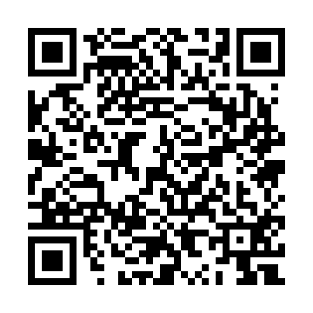QR code for ZX12125