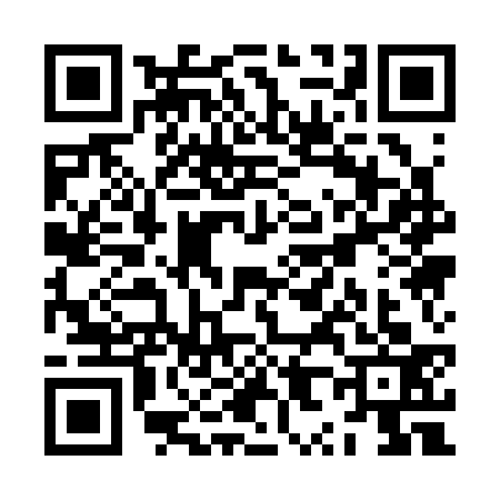 QR code for ZX13332