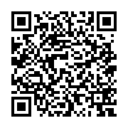 QR code for ZX13598