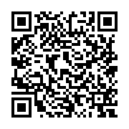 QR code for ZX19133