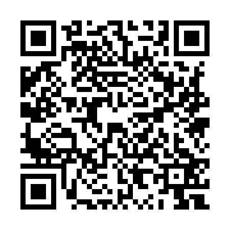 QR code for ZX19234